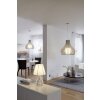 Eglo TINDORI pendant light matt nickel, 1-light source