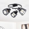 RIETI Ceiling Light black, 3-light sources