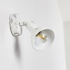 POLMAK wall spotlight gold, white, 1-light source