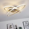 KRABI Ceiling Light LED matt nickel, 3-light sources, Remote control