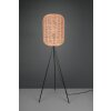 Trio RUNA Floor Lamp black, 1-light source