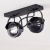 RAHWAY Ceiling Light black, 2-light sources