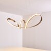 Woyens Pendant Light LED stainless steel, 1-light source