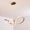 Woyens Pendant Light LED stainless steel, 1-light source