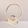 Woyens Pendant Light LED stainless steel, 1-light source