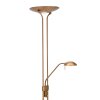 Steinhauer MEXLITE Floor Lamp LED bronze, 2-light sources