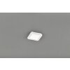 Reality CAMILLUS Ceiling light LED white, 1-light source