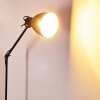 TIMOLA Floor Lamp black, 1-light source