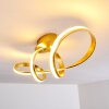 Woyens Ceiling Light LED gold, 1-light source