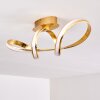 Woyens Ceiling Light LED gold, 1-light source