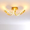 Woyens Ceiling Light LED gold, 1-light source