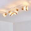 Bariloche Ceiling Light chrome, white, 4-light sources
