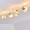 Bariloche Ceiling Light chrome, white, 4-light sources