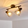HOLBOL Ceiling Light black, 2-light sources