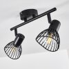 HOLBOL Ceiling Light black, 2-light sources