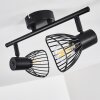 HOLBOL Ceiling Light black, 2-light sources