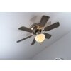 Globo UGO fan stainless steel, matt nickel, 1-light source