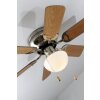 Globo UGO fan stainless steel, matt nickel, 1-light source