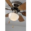 Globo UGO fan stainless steel, matt nickel, 1-light source