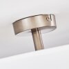 Foggia Ceiling Light matt nickel, 3-light sources