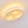Foggia Ceiling Light matt nickel, 3-light sources