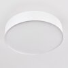 Foggia Ceiling Light matt nickel, 3-light sources