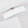 Foggia Ceiling Light matt nickel, 3-light sources