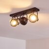 RAHWAY Ceiling Light black, 3-light sources