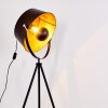 Jupiter Floor Lamp black-gold, 1-light source