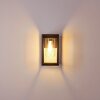 Baoshan Outdoor Wall Light black, 1-light source