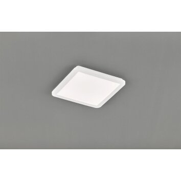 Reality CAMILLUS Ceiling light LED white, 1-light source
