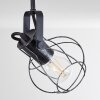 Sundsvall Ceiling Light Dark wood, black, 2-light sources