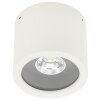 Albert 2319 Ceiling Light LED white, 1-light source