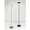 Reality PONDA Floor Lamp LED matt nickel, 1-light source