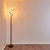KITEE floor lamp brown, rust-coloured, 6-light sources