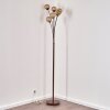 KITEE floor lamp brown, rust-coloured, 6-light sources