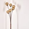 KITEE floor lamp brown, rust-coloured, 6-light sources