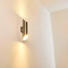 SAULCY Outdoor Wall Light LED stainless steel, 2-light sources
