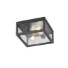 Trio GARONNE outdoor ceiling light anthracite, 2-light sources