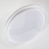 ORANKI Ceiling light LED white, 1-light source, Remote control