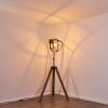 HAERVEJ Floor Lamp Dark wood, black, 1-light source
