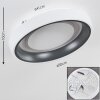 MACKAY Ceiling Light LED anthracite, white, 1-light source