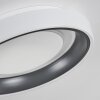 MACKAY Ceiling Light LED anthracite, white, 1-light source