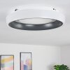 MACKAY Ceiling Light LED anthracite, white, 1-light source