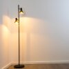 Mavas Floor Lamp black, 2-light sources