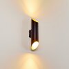 SAULCY Outdoor Wall Light LED black-gold, 2-light sources