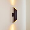 SAULCY Outdoor Wall Light LED black-gold, 2-light sources
