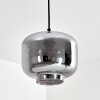 PATTERSON Pendant Light black, 1-light source