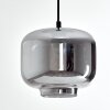 PATTERSON Pendant Light black, 1-light source