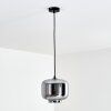 PATTERSON Pendant Light black, 1-light source